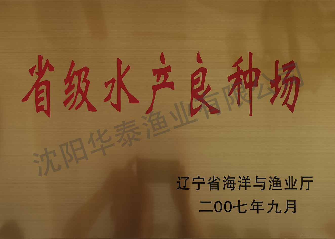 &#107;&#111;&#107;&#111;&#20307;&#32946;&#97;&#112;&#112;&#23448;&#32593;&#20837;&#21475;&#40;&#23448;&#26041;&#41;&#65;&#80;&#80;&#19979;&#36733;&#73;&#79;&#83;&#47;&#65;&#110;&#100;&#114;&#111;&#105;&#100;&#36890;&#29992;&#29256;&#47;&#25163;&#26426;&#97;&#112;&#112;