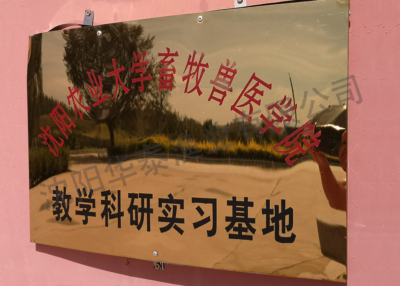 &#107;&#111;&#107;&#111;&#20307;&#32946;&#97;&#112;&#112;&#23448;&#32593;&#20837;&#21475;&#40;&#23448;&#26041;&#41;&#65;&#80;&#80;&#19979;&#36733;&#73;&#79;&#83;&#47;&#65;&#110;&#100;&#114;&#111;&#105;&#100;&#36890;&#29992;&#29256;&#47;&#25163;&#26426;&#97;&#112;&#112;